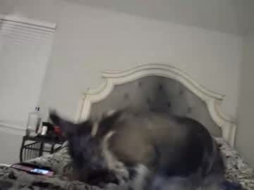 couple Strip Sex Cam On Chaturbate with mslovelymarilyn